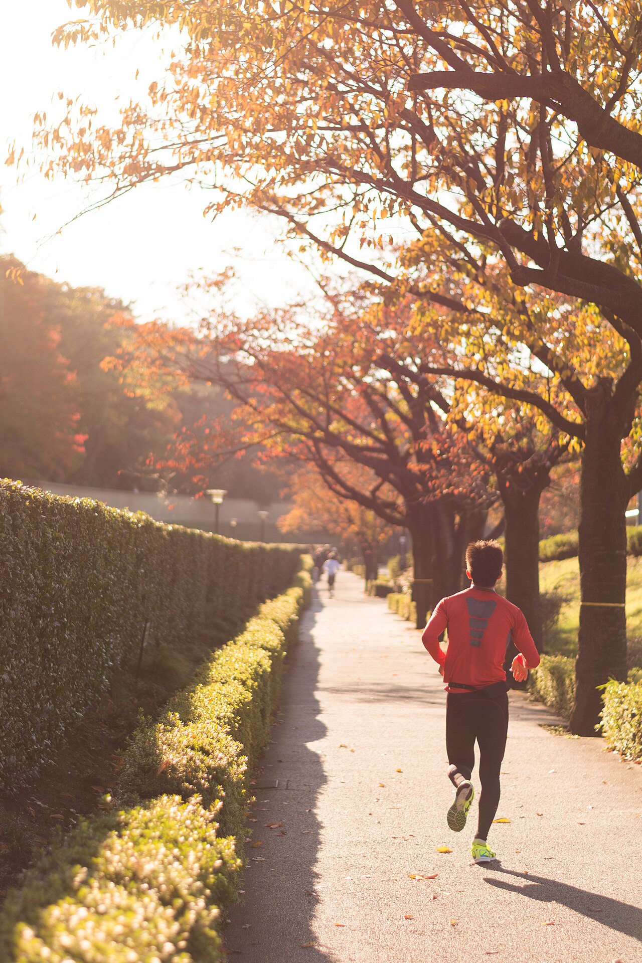 A runner in a long-sleeve top and tights on a tree-lined path in autumn